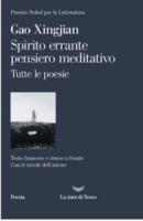 Spirito errante pensiero meditativo_cover