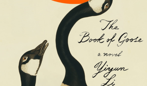 the book of goose_particular